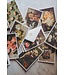 May Roses - Boxed Set of 10 Cards & Envelopes