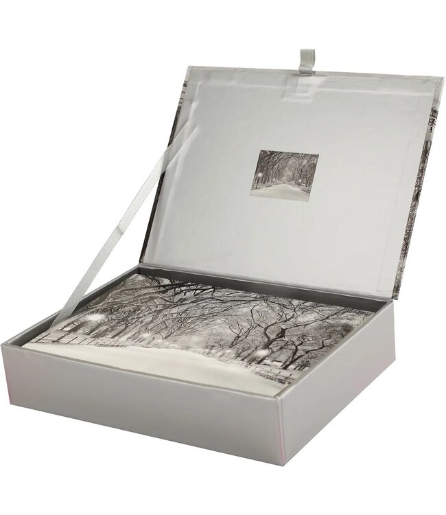 Lights of the Season Deluxe Boxed Holiday Cards