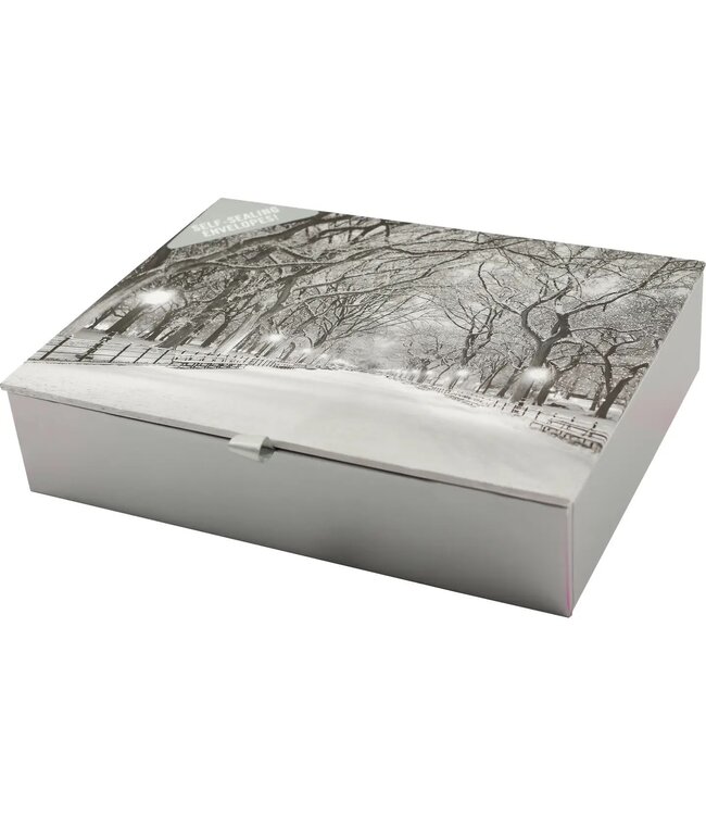 Lights of the Season Deluxe Boxed Holiday Cards