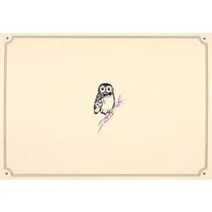 Owl Portrait Note Cards