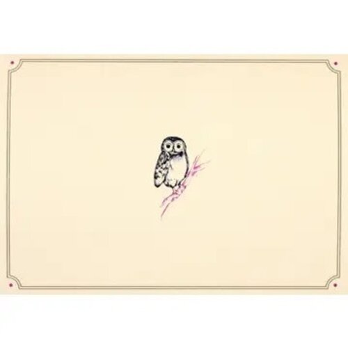 Owl Portrait Note Cards