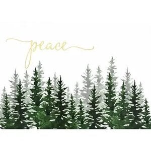 Winter Evergreens Deluxe Boxed Holiday Cards