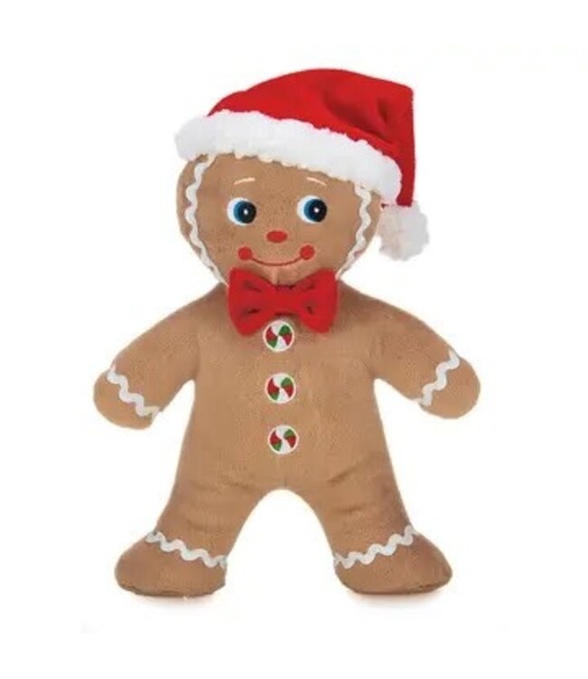 Jolly Ginger the Gingerbread Man