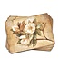 Sugar Magnolia Placemats Set of 4