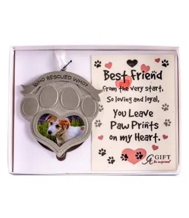 Who Rescued Who Pet Ornament