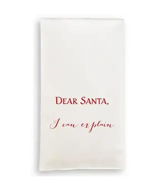 Dear Santa I Can Explain in Red Dishtowel