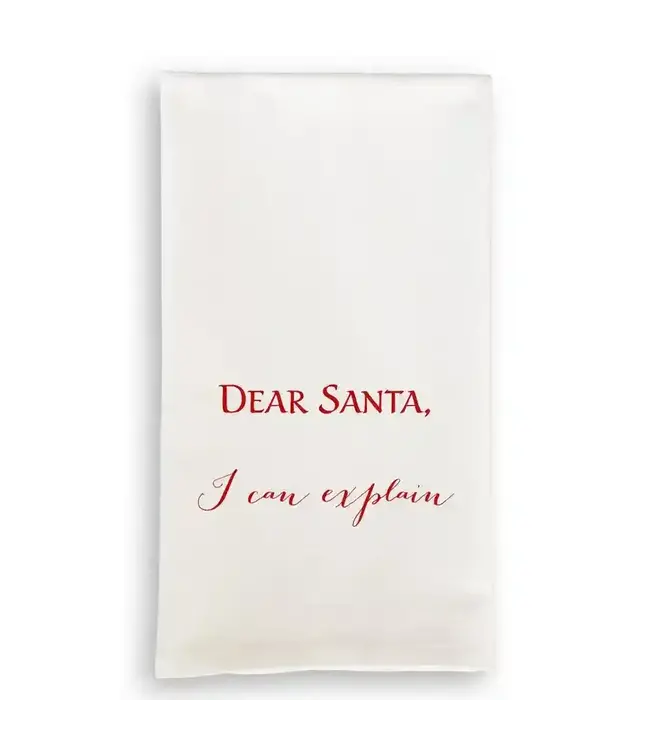Dear Santa I Can Explain in Red Dishtowel