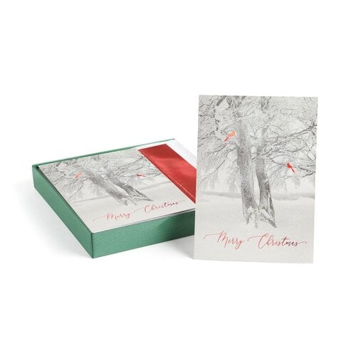 Cardinal Tree Boxed Holiday Cards