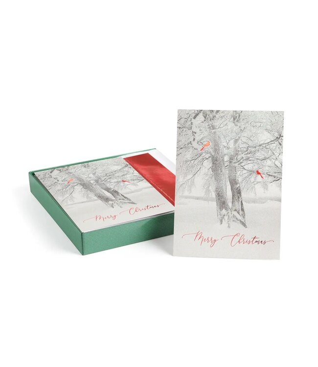 Cardinal Tree Boxed Holiday Cards