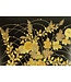 Autumn Grasses Note Cards