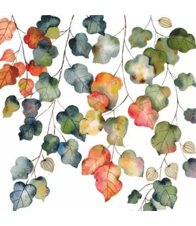 Bev-Bright Fall