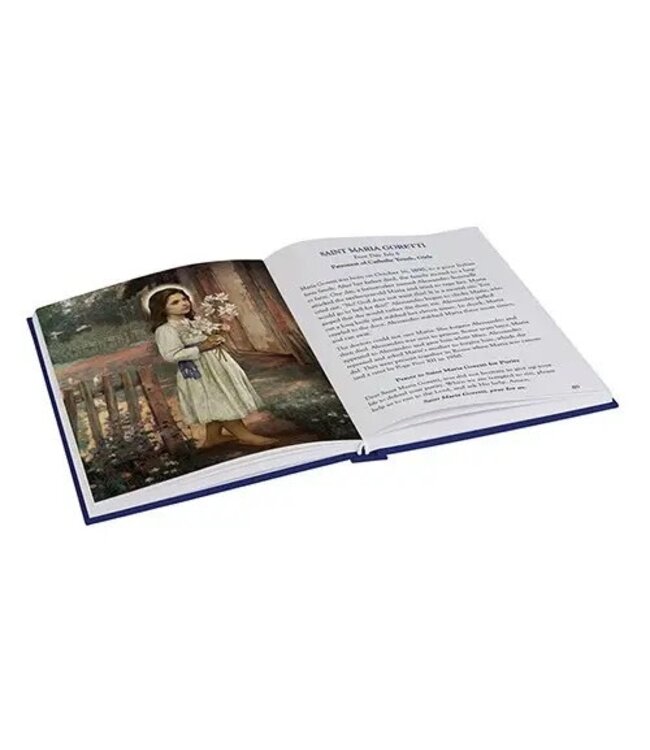 Lives of the Saints - An Illustrated History for Children