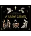 A Savior Is Born: Rocks Tell the Story of Christmas