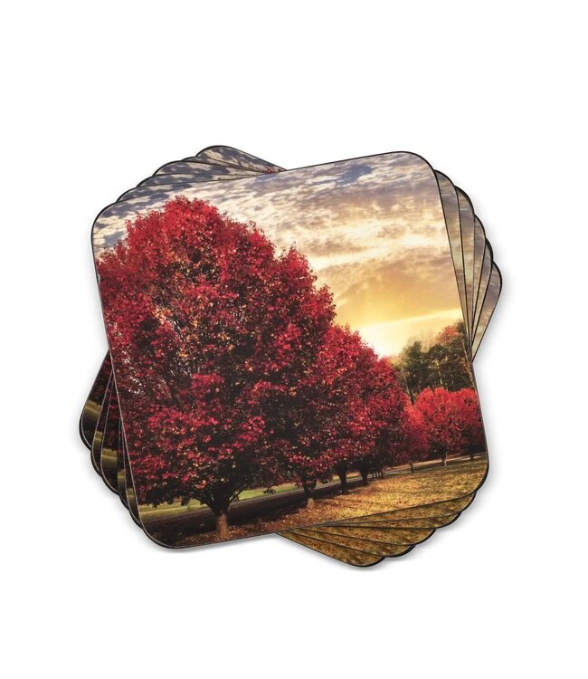 Crimson Trees Coasters Set of 6