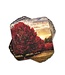 Crimson Trees Coasters Set of 6