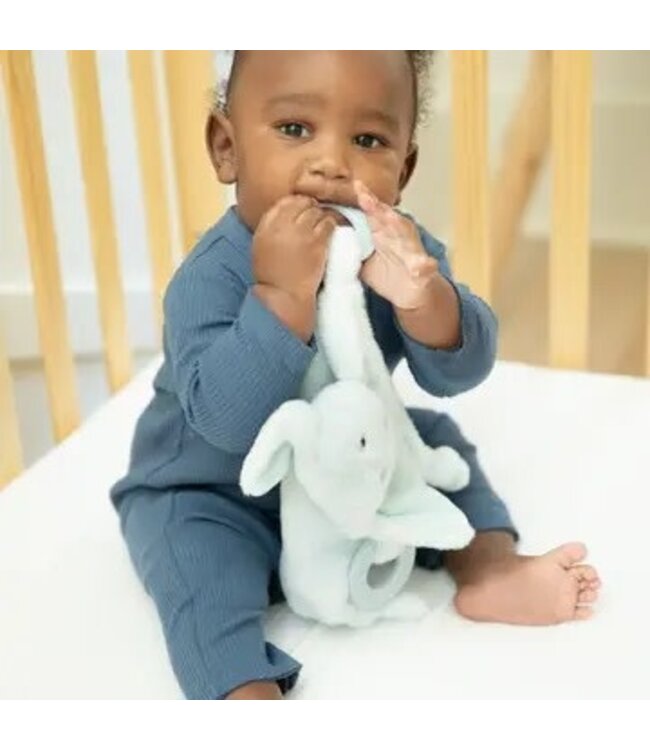 Teether Buddy Danny the Dog