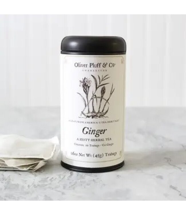 Ginger - 20 Teabags in Signature Tea Tin