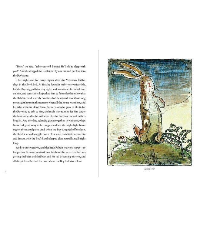 The Velveteen Rabbit