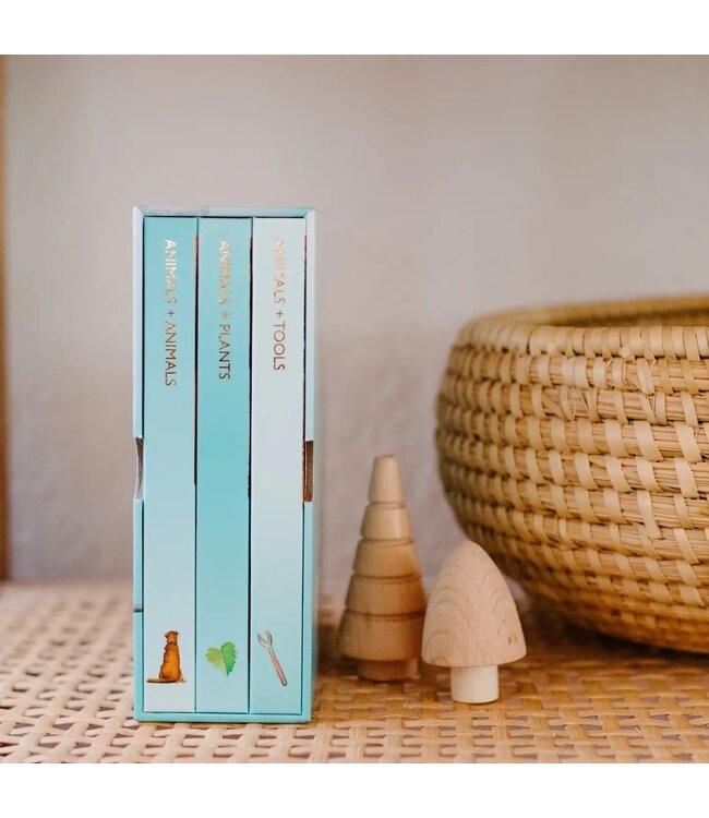 You Stole My Name Board Book Box Set