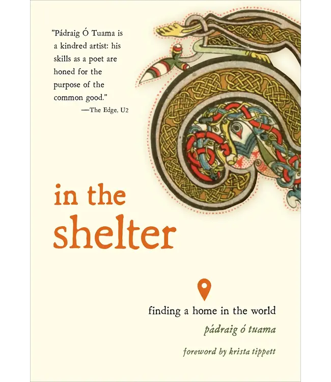 In the Shelter: Finding a Home in the World by Pádraig Ó Tuama