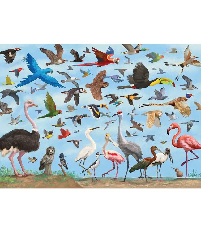 All the Birds 1000 Piece Jigsaw Puzzle