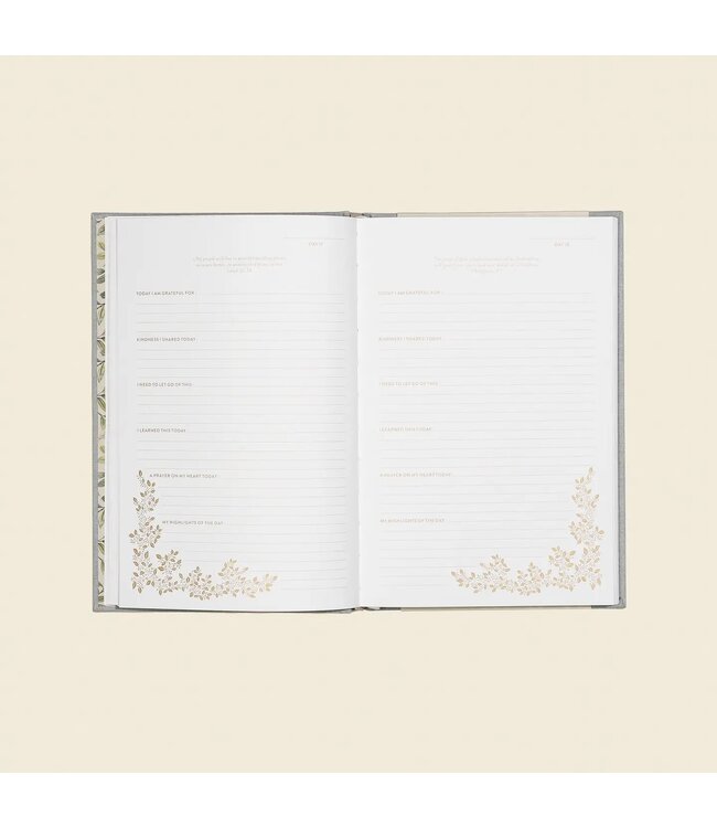 More Than Gratitude: A Christian Guided Journal