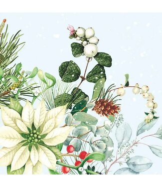 Bev- White Poinsettia By Ambiente