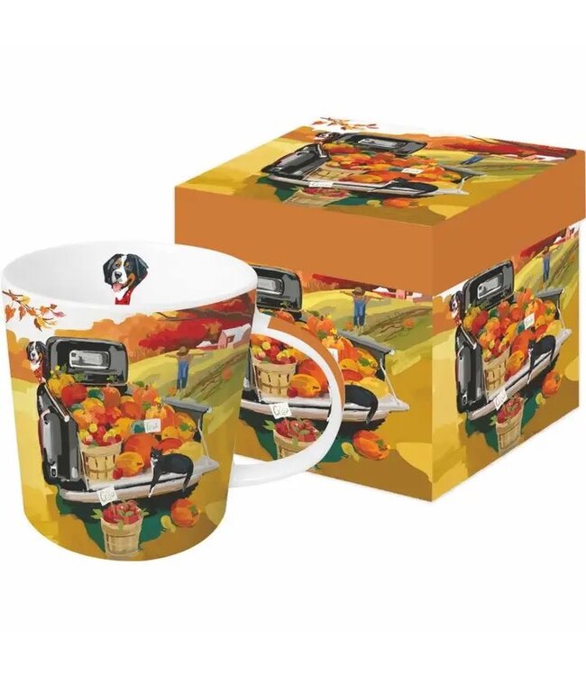 Mug in Gift Box- Noah's Harvest