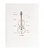 Violin Parts Card
