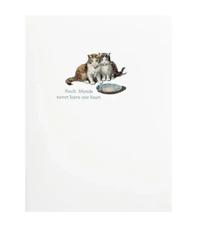 Cat Sympathy Card