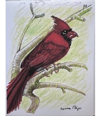 Cardinal Cards by Norma Pitzer