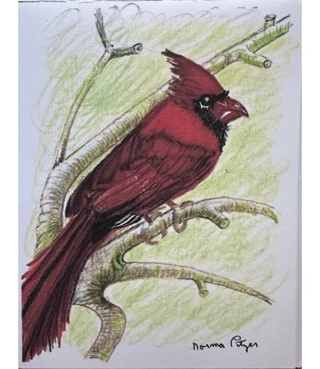 Cardinal Cards by Norma Pitzer
