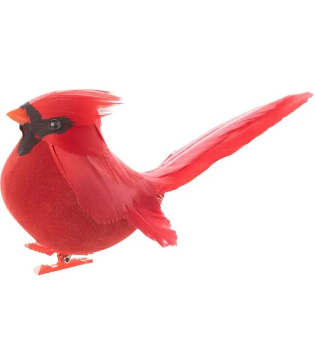 A63185: Chubby Cardinal Clip, Orn, Feather, 5in