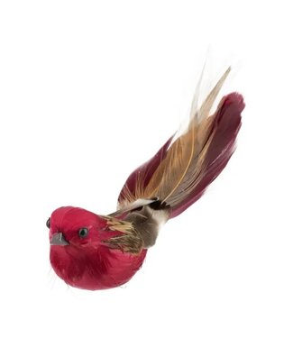 A64464: Burgundy and Natural Feather Clip On Bird Orn,6in
