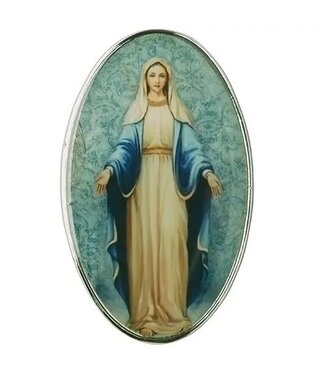 Our Lady of Grace Visor Clip