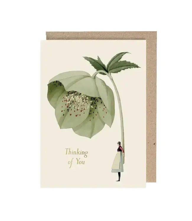 Hellebore (Thinking of You) Card