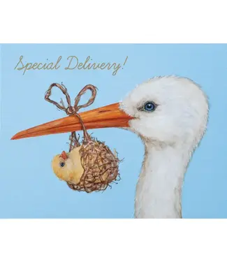 Special Delivery Card