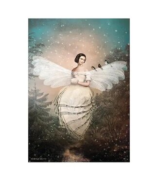 Winter Moth - Artist: Catrin Welz-Stein Card