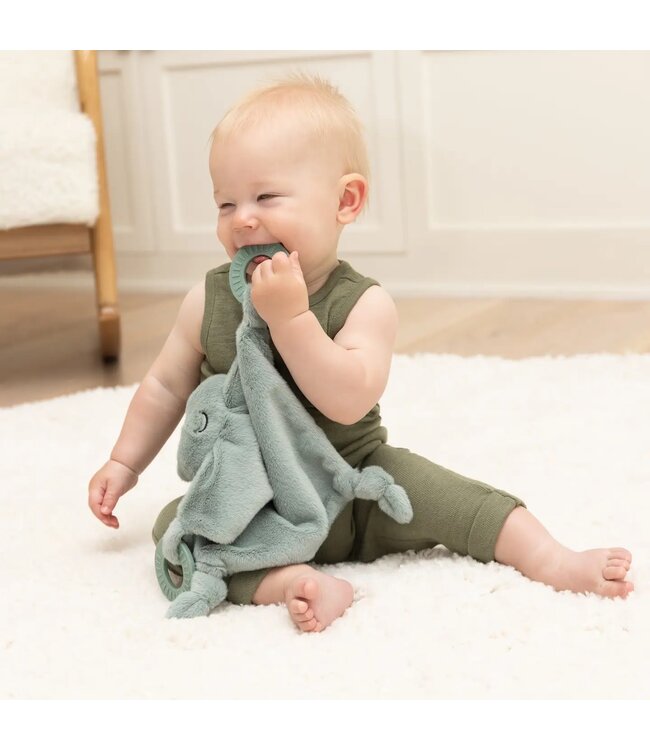 Teether Buddy Freddie the Frog