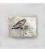 Capiz Rectangular Box W/Single Bird Design