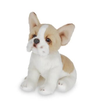 Lil' Frenchie the French Bulldog