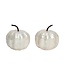 Capiz Pumpkin Mini White 2.5"