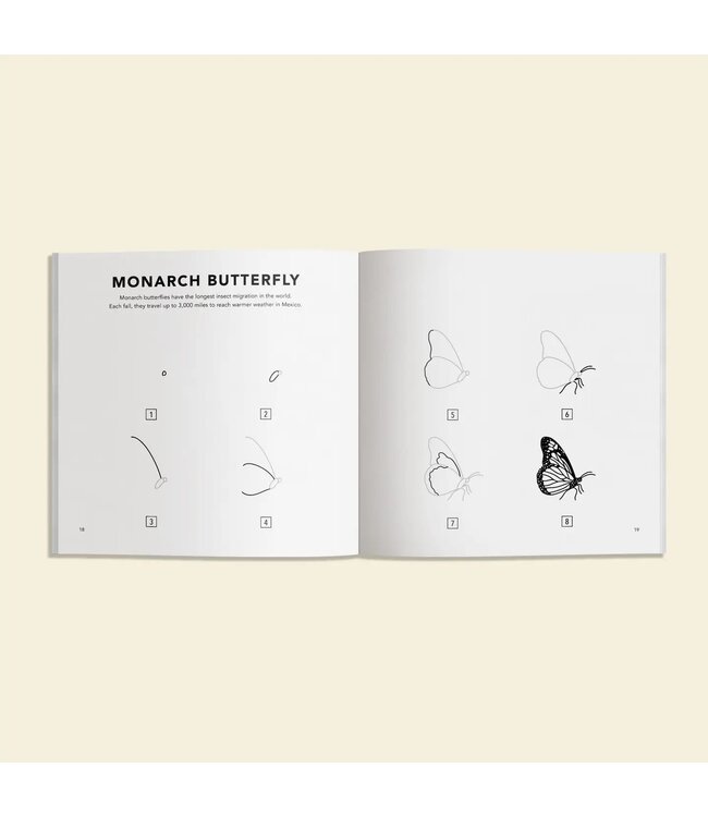 How To Draw Bugs For Kids (Butterflies, Bees, Ladybugs)