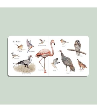 Our Big Book of Animals (Board Book)