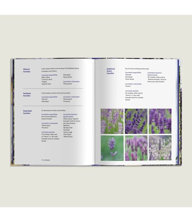 Lavender: 50 Self-Care Recipes and Projects For Wellness