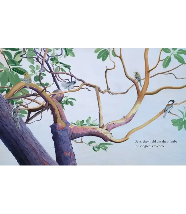 Trees By Tony Johnston