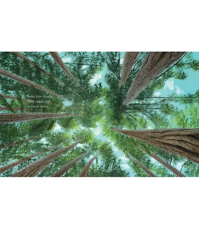 Trees
