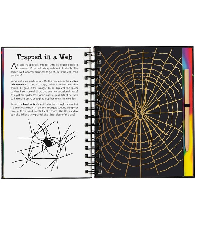 Bugs! Scratch and Sketch