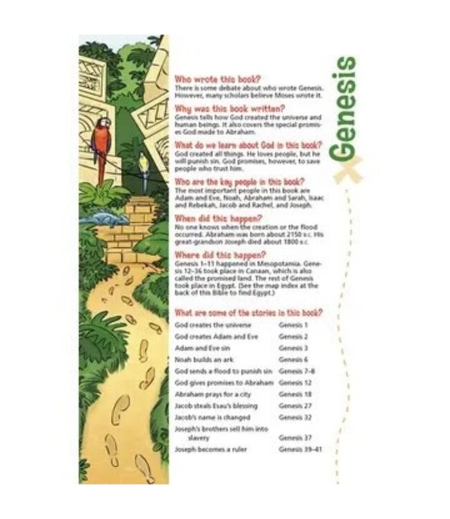 Niv, Adventure Bible, Hardcover, Full Color