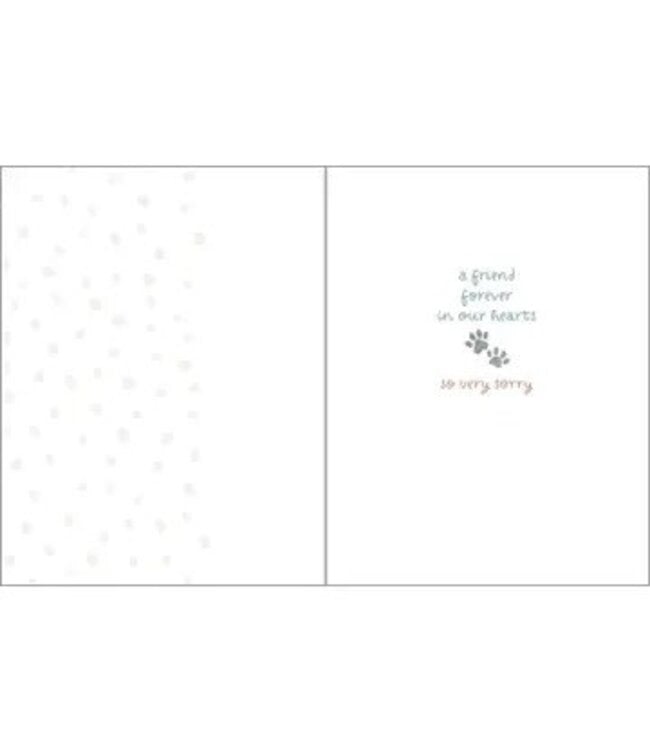 Pet Sympathy Greeting Card - Rainbow Bridge